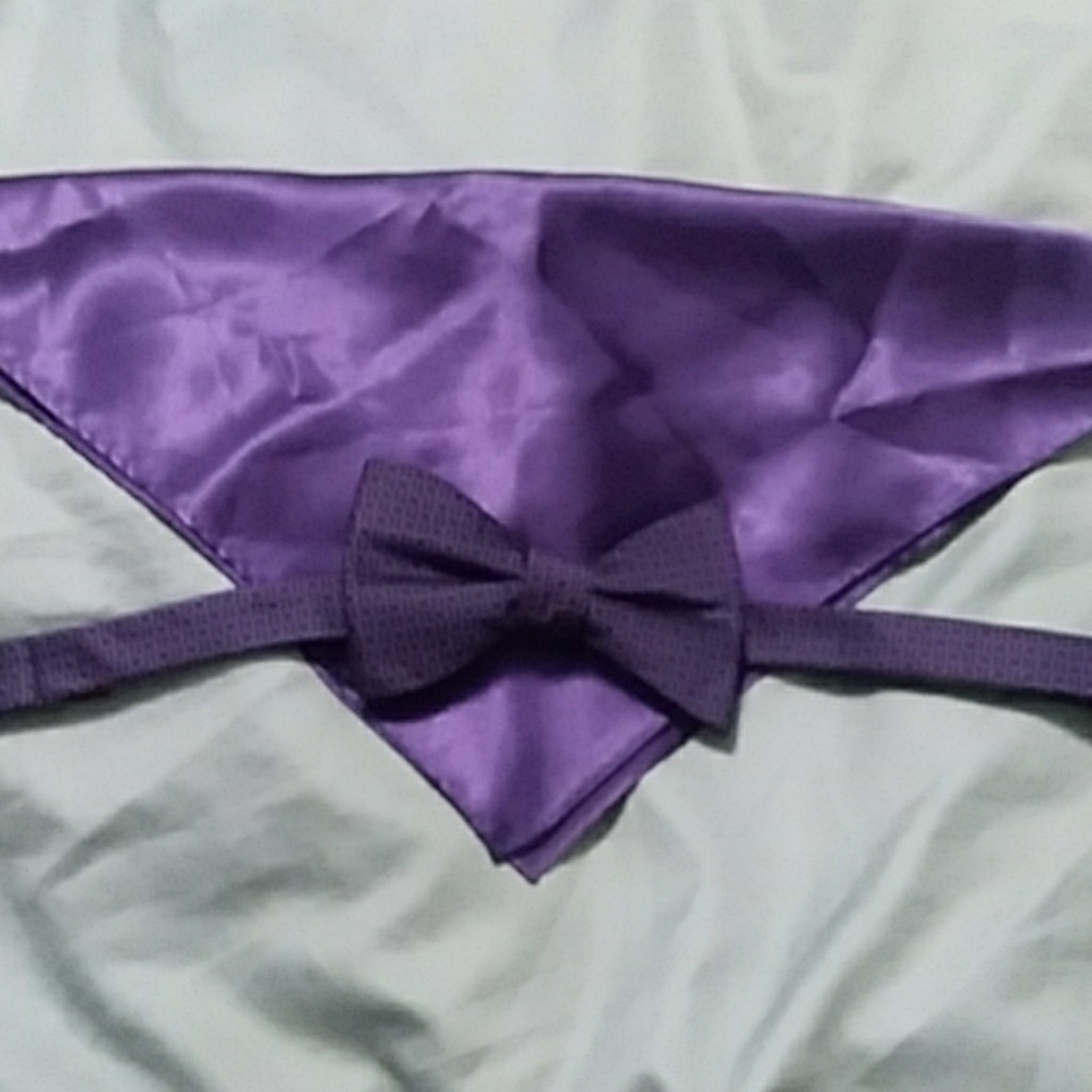 Pocket square and bowtie